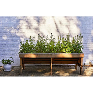 Seed Pops  | Pollinator