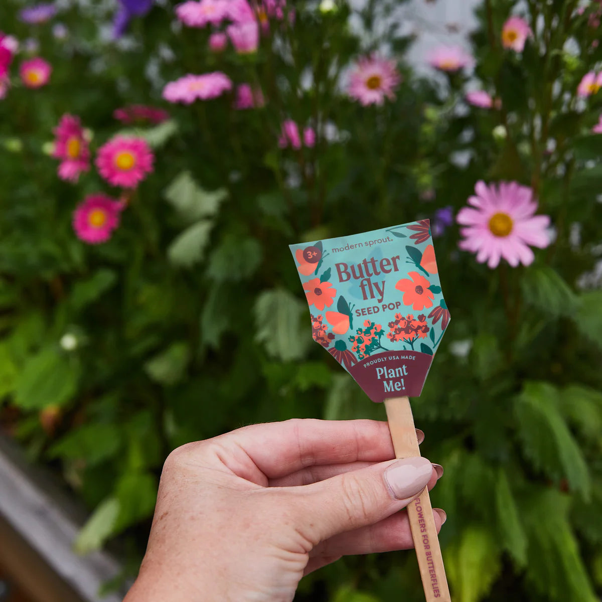 Seed Pops  | Pollinator