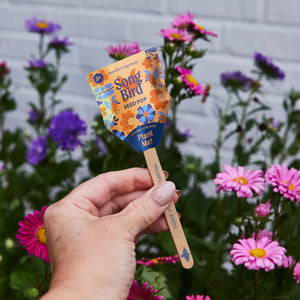 Seed Pops  | Pollinator
