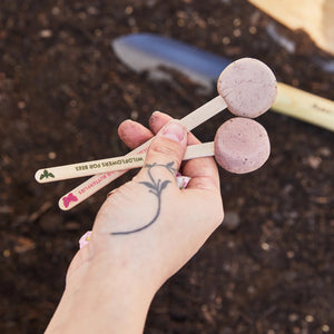 Seed Pops  | Pollinator