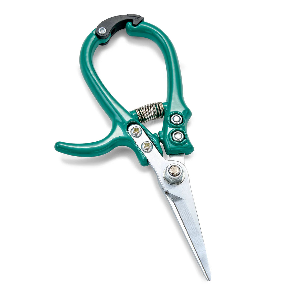 Garden Shears | Ocean