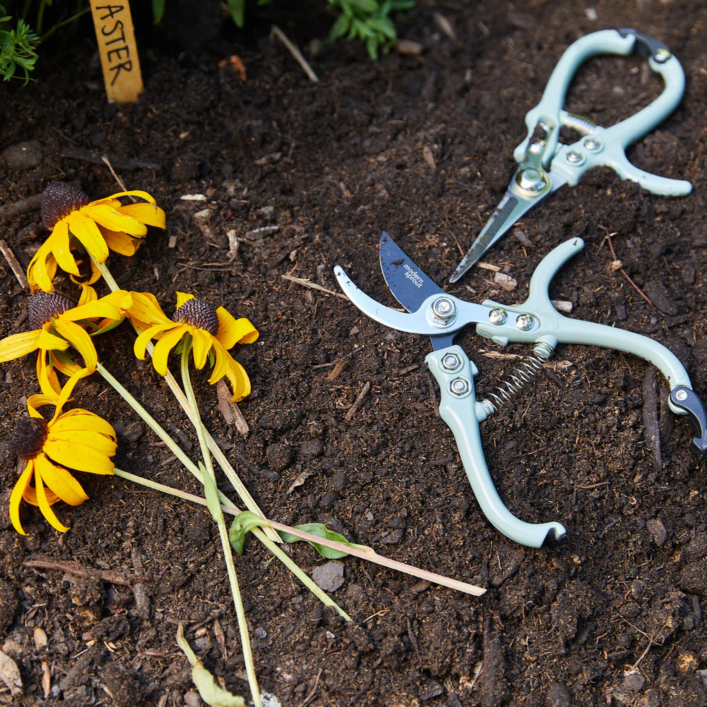 Garden Shears | Ocean