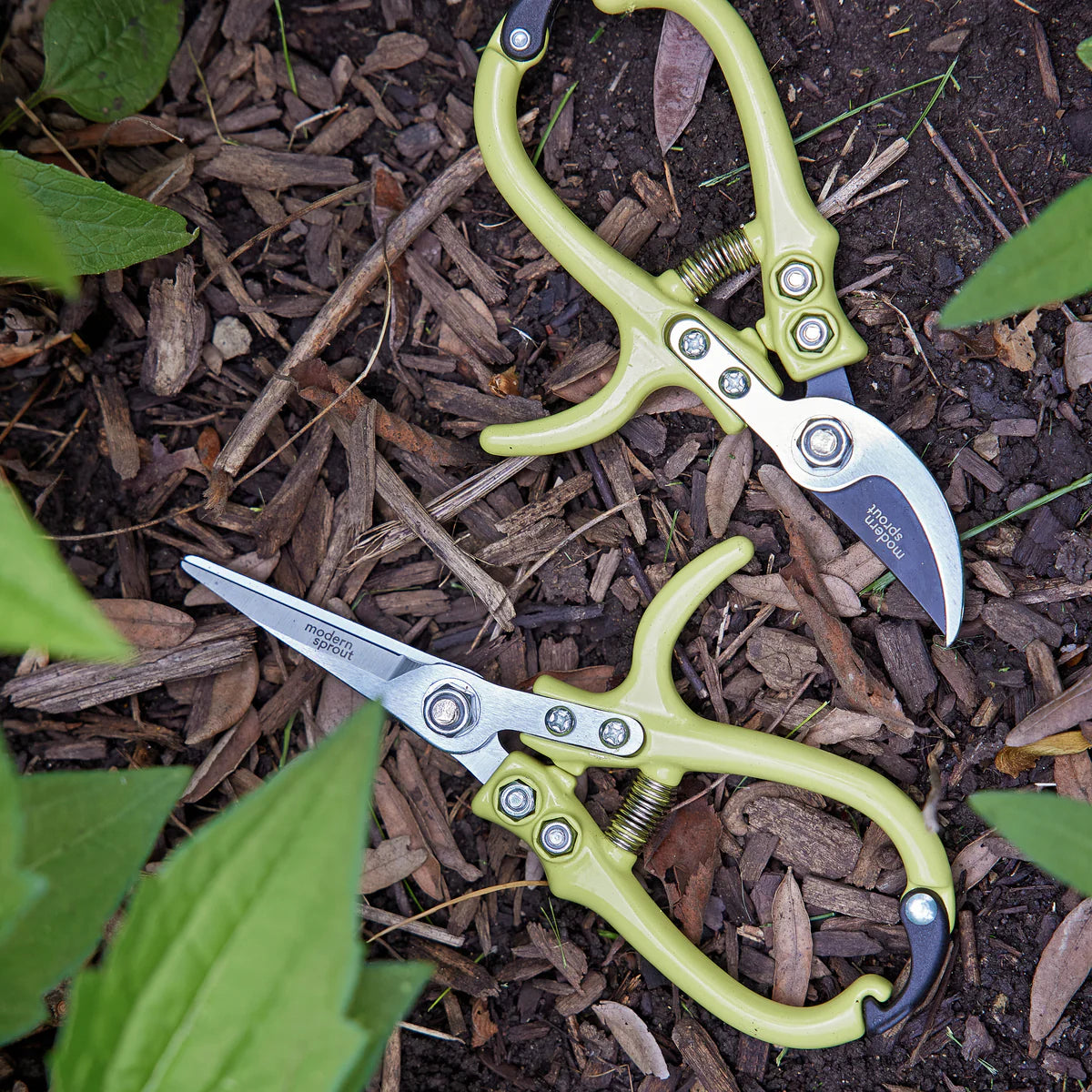 Garden Shears | Ocean