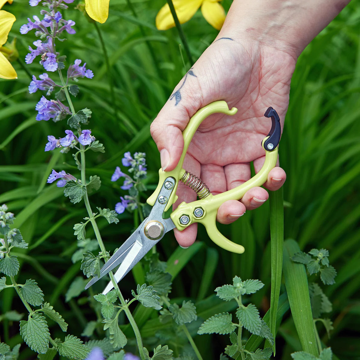 Garden Shears | Ocean