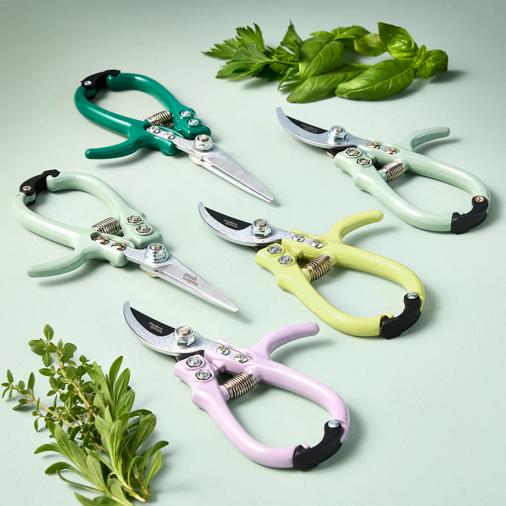 Garden Shears | Ocean