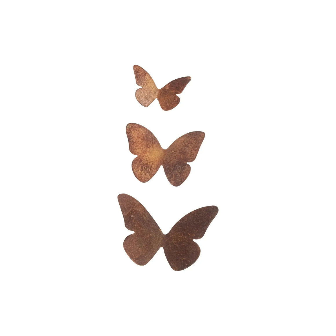 Butterfly Installation | Small