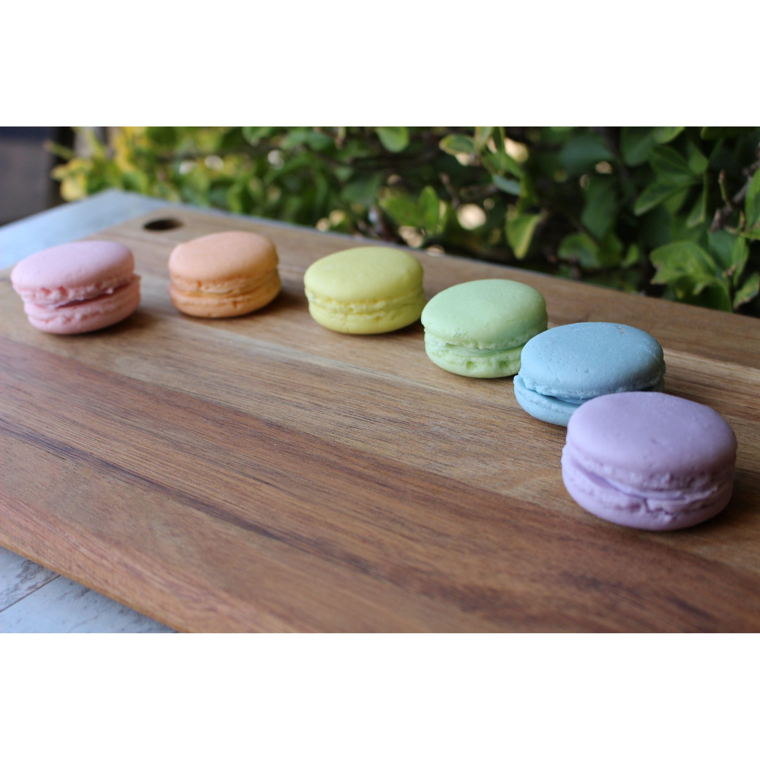Macarons | Large