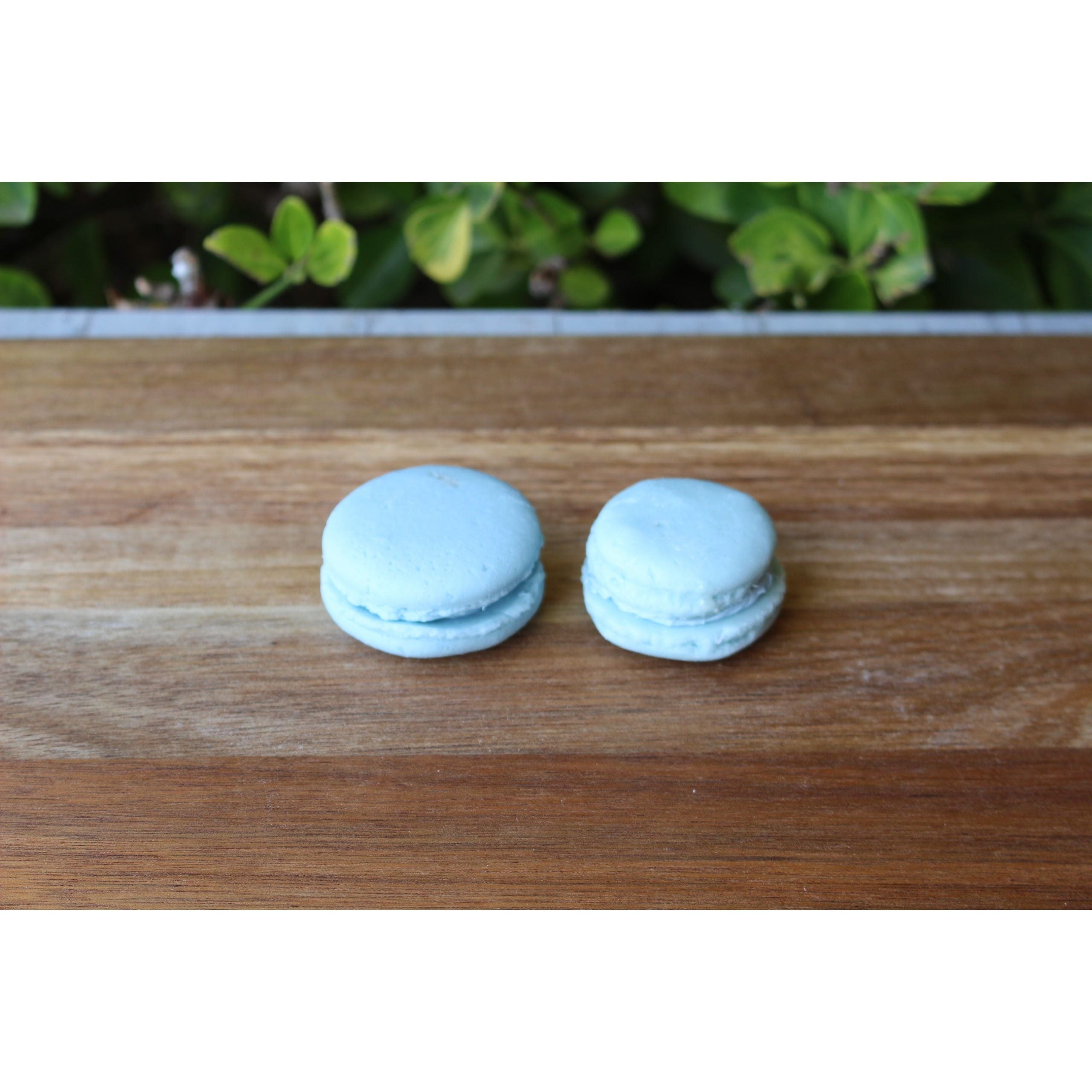 Macarons | Large