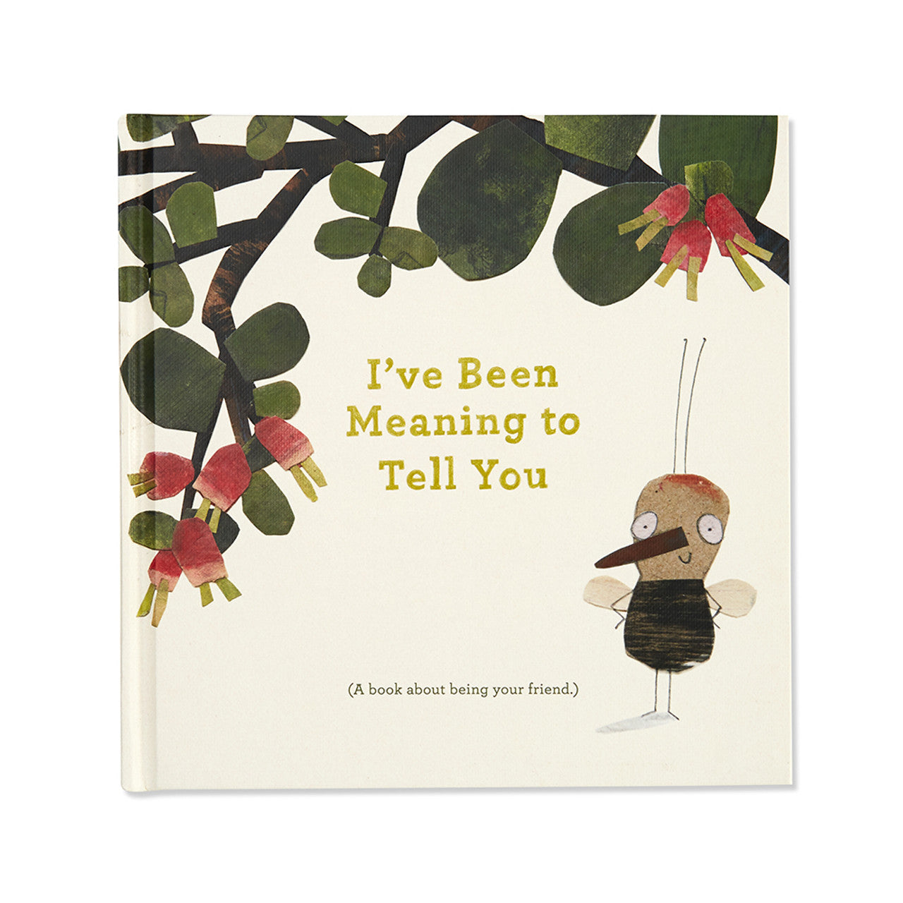I've Been Meaning to Tell You  | (A Book About Being Your Friend)