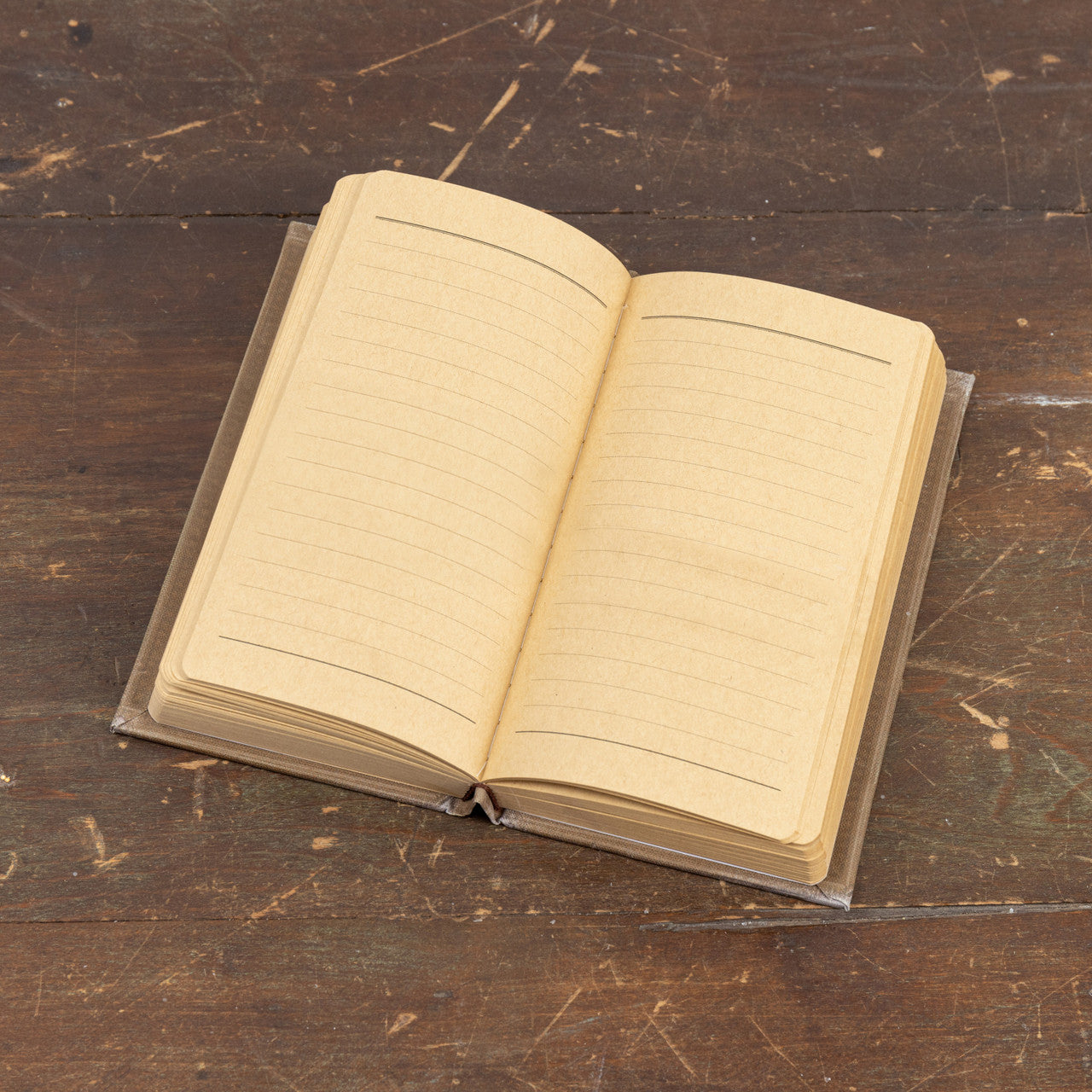 Wildlife in the Woods Journal