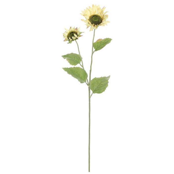 Sunflower w/Blooms