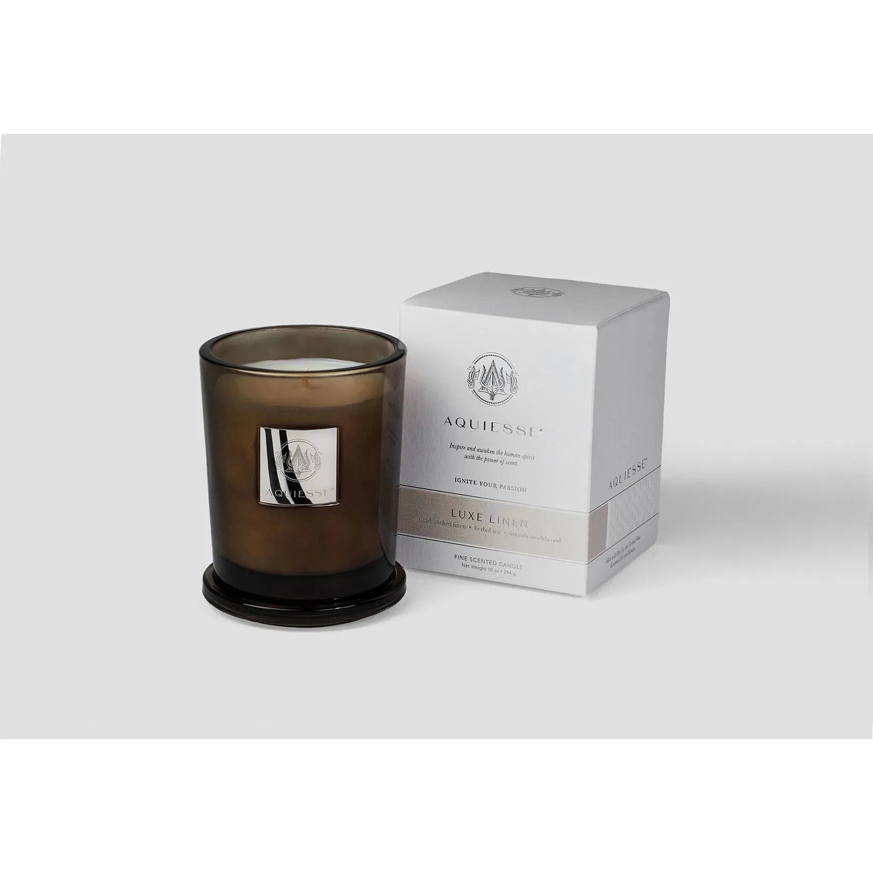 Aquiesse Portfolio Candle | Large (10 oz)