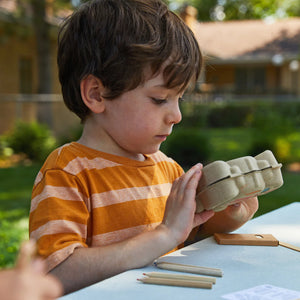 Curious Critters Activity Kit