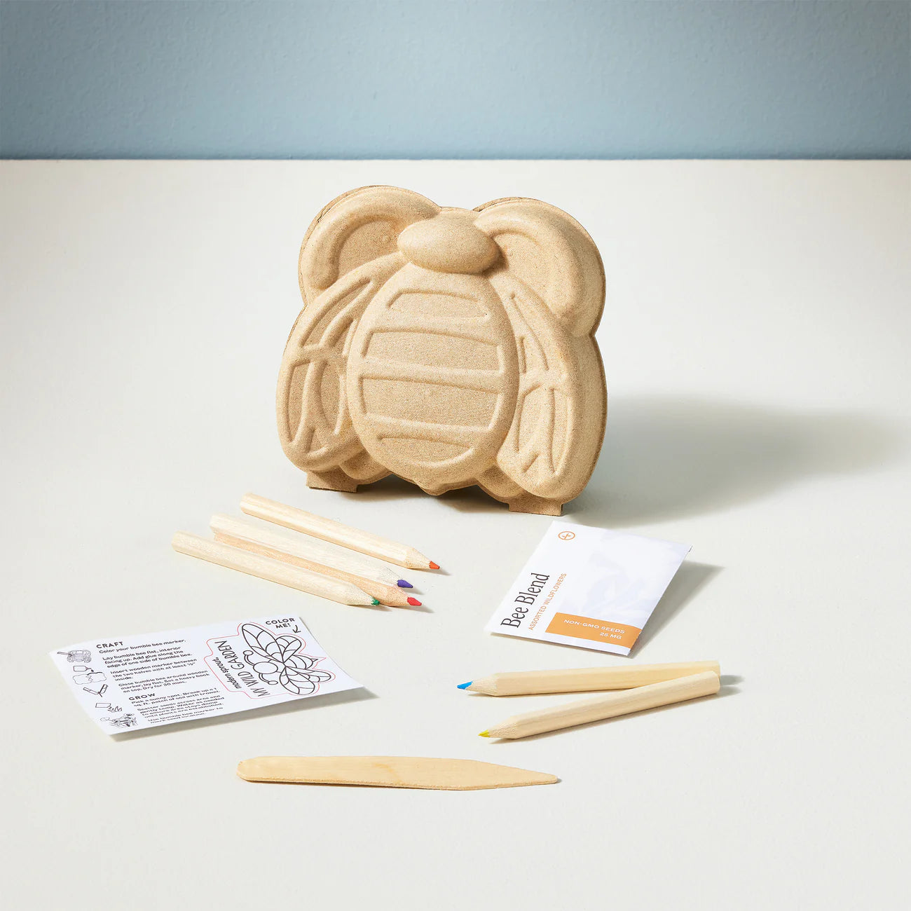 Curious Critters Activity Kit