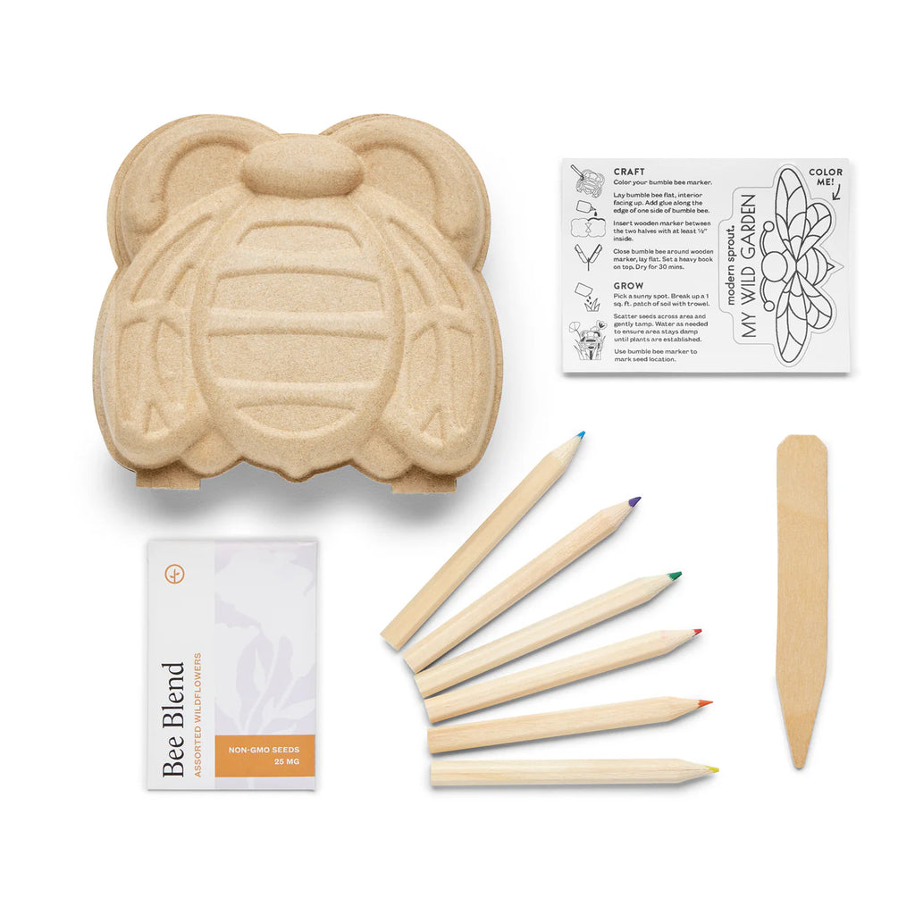 Curious Critters Activity Kit