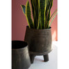 Hand-Hammered Iron Planter w/Leg