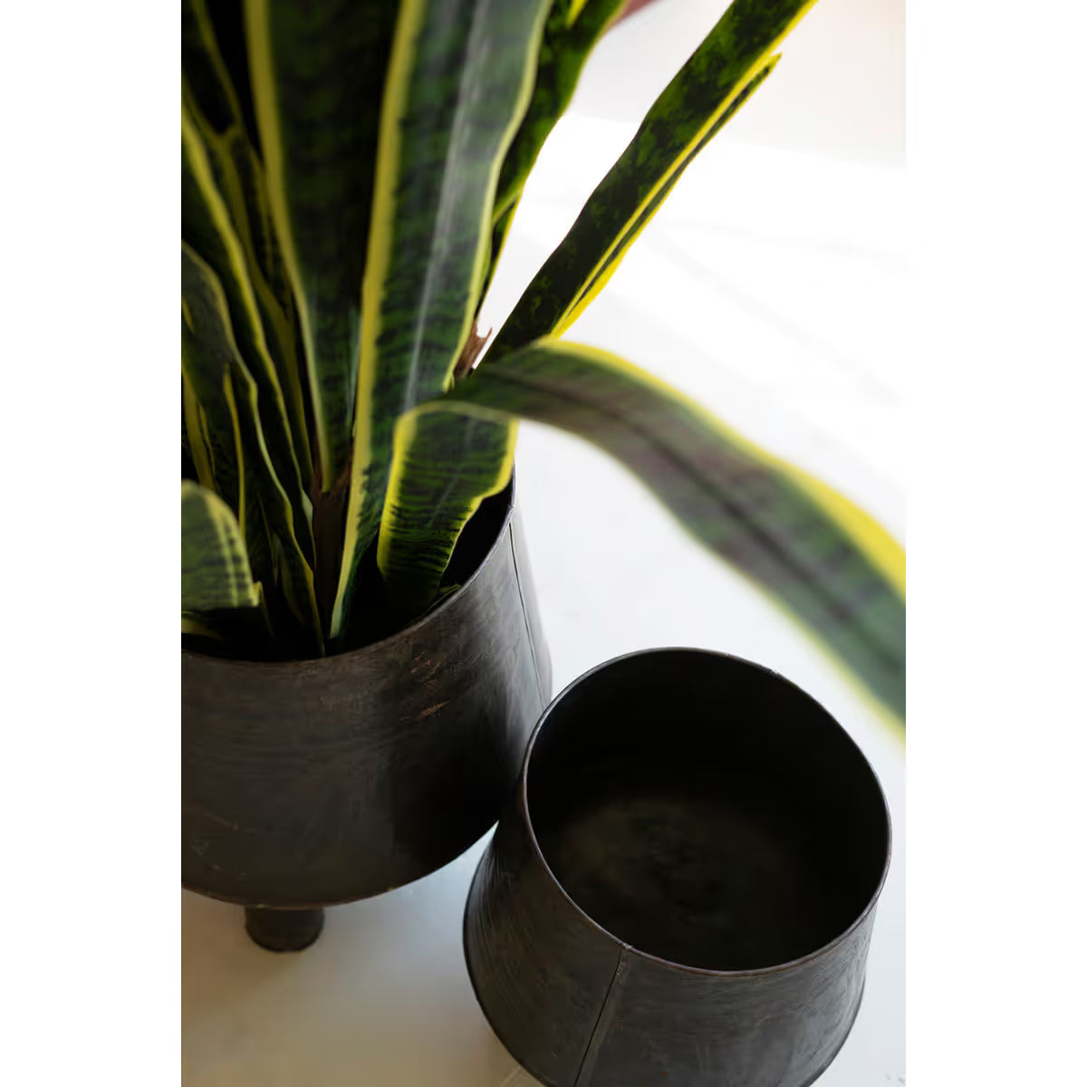 Hand-Hammered Iron Planter w/Legs