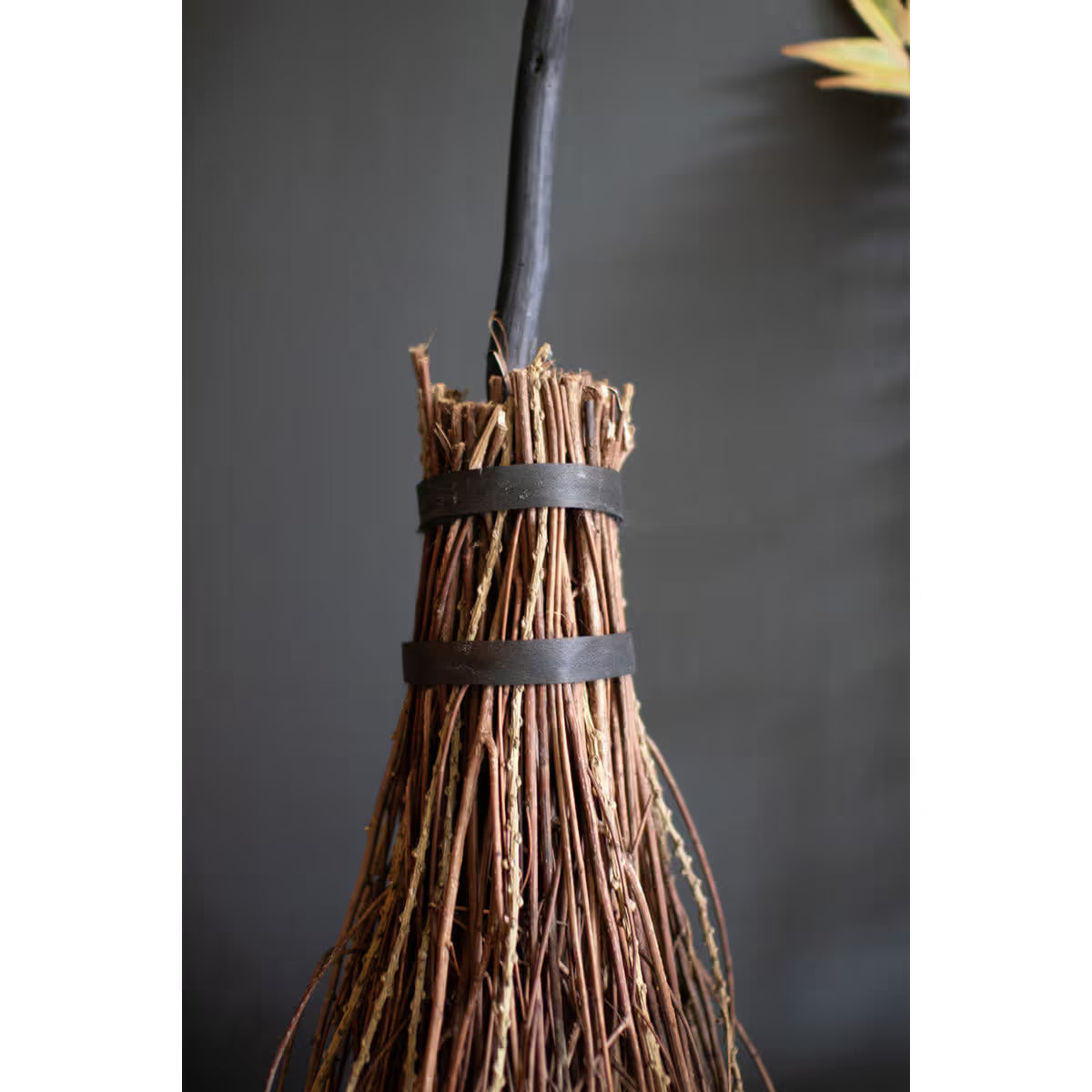 Witch’s Broom