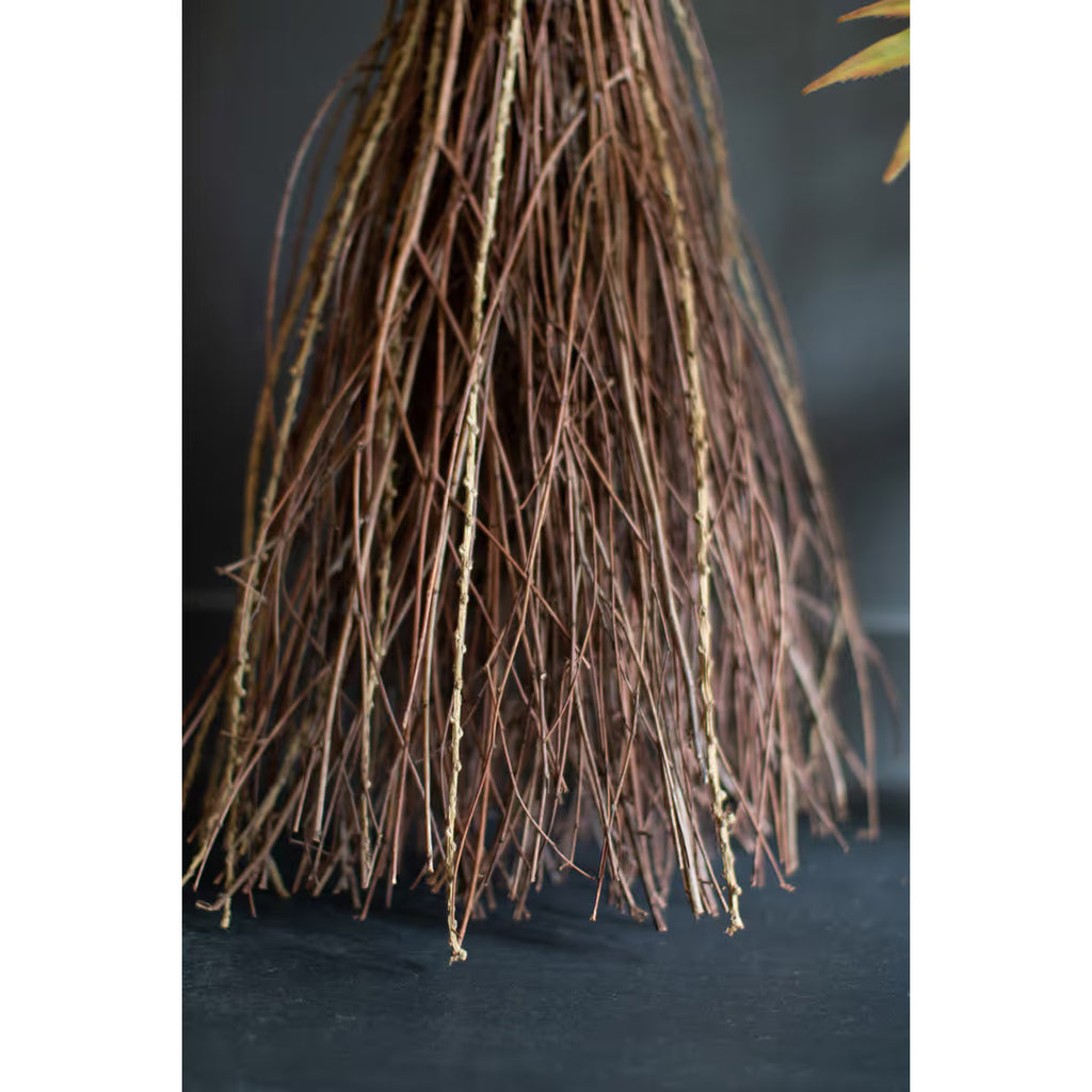 Witch’s Broom