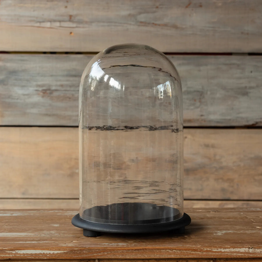 Vintage Style Glass Display Dome w/Weathered Black Base