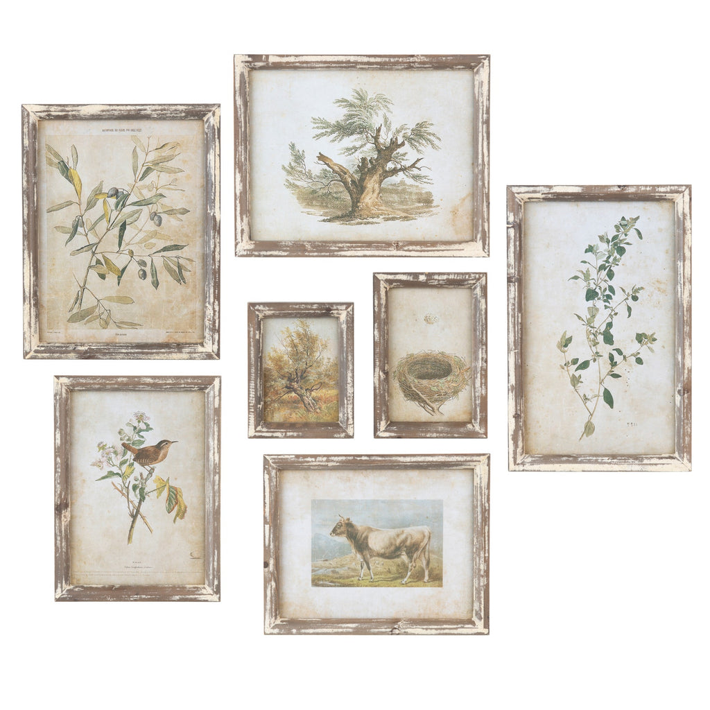 Old Olive Prints