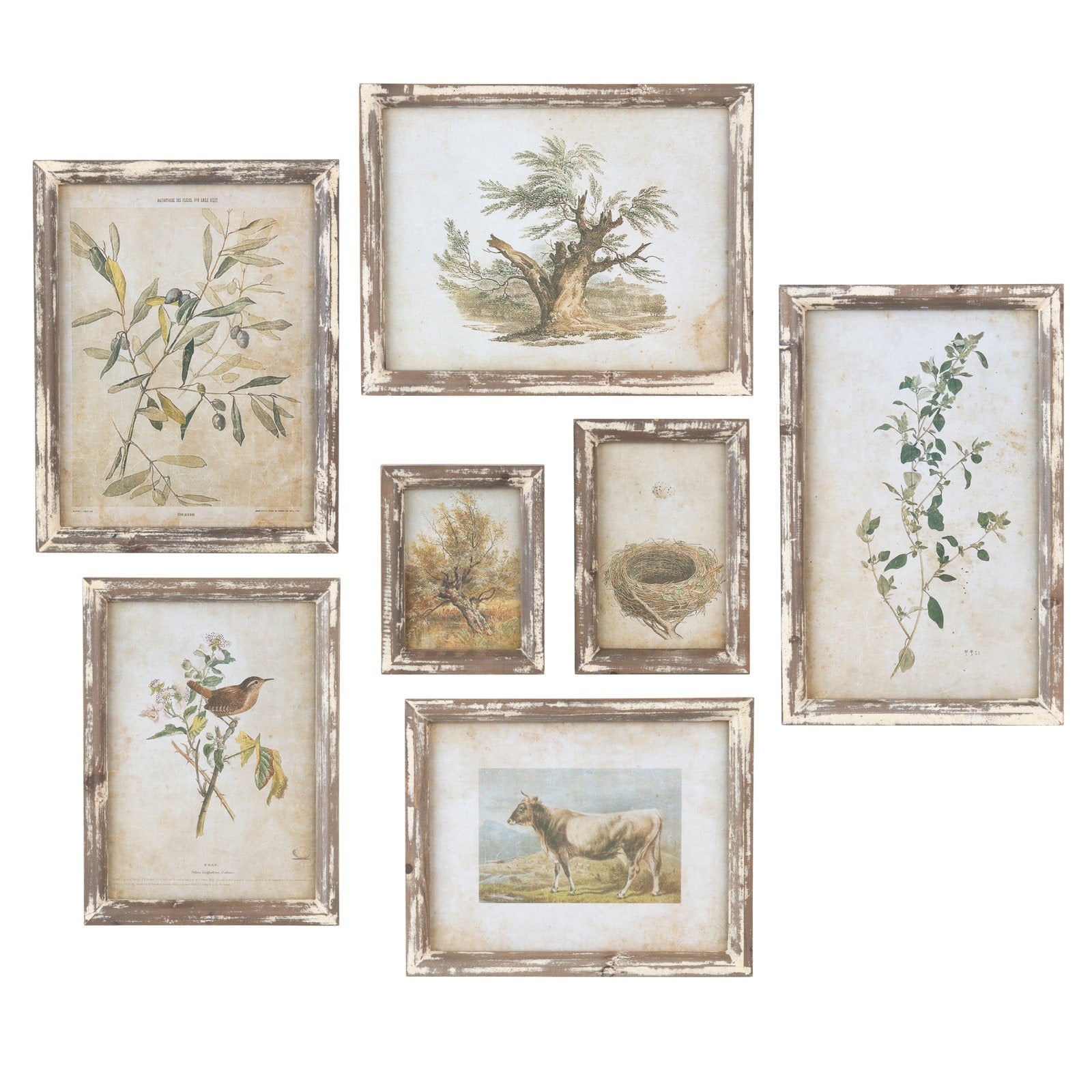 Old Olive Prints