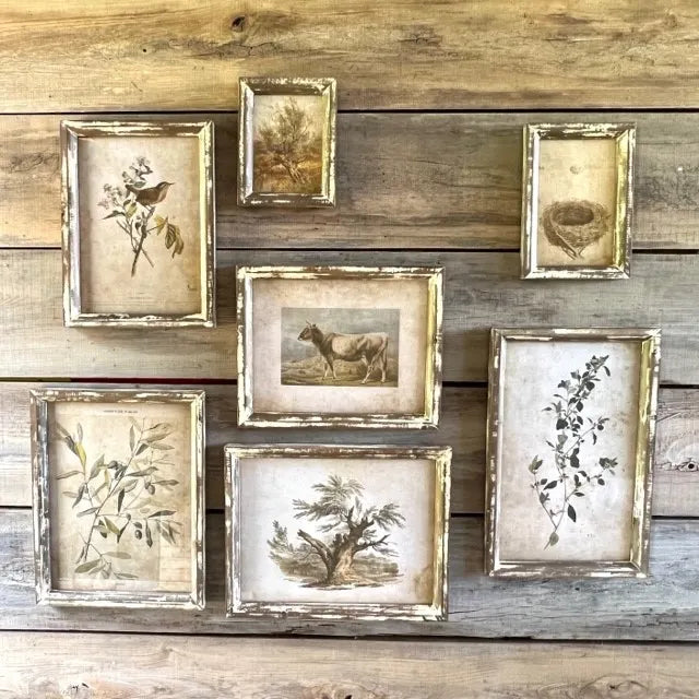 Old Olive Prints