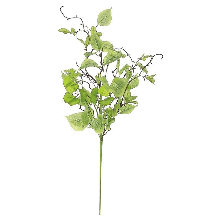 Elm Leaf & Tassel Seed Spray