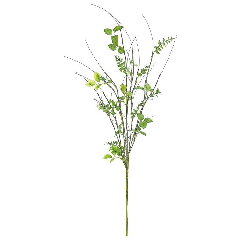 Mixed Foliage & Fern Bush