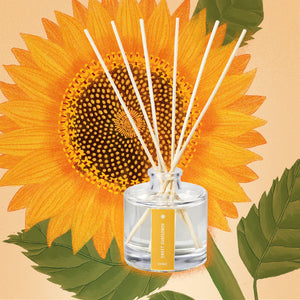 Plant the Box Diffuser | Sweet Sunflower