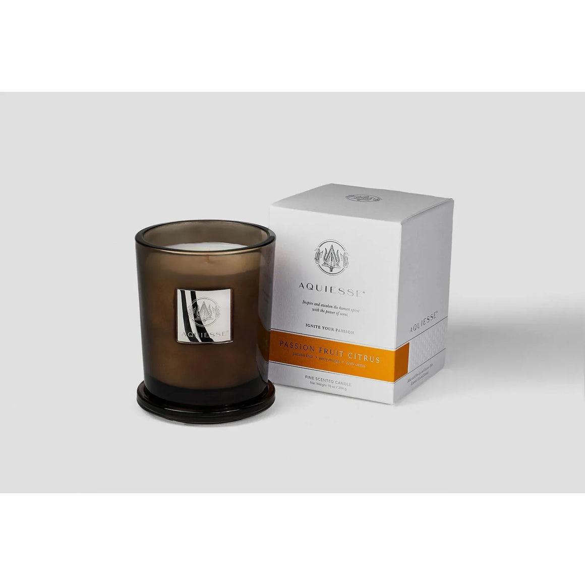 Aquiesse Portfolio Candle | Large (10 oz)