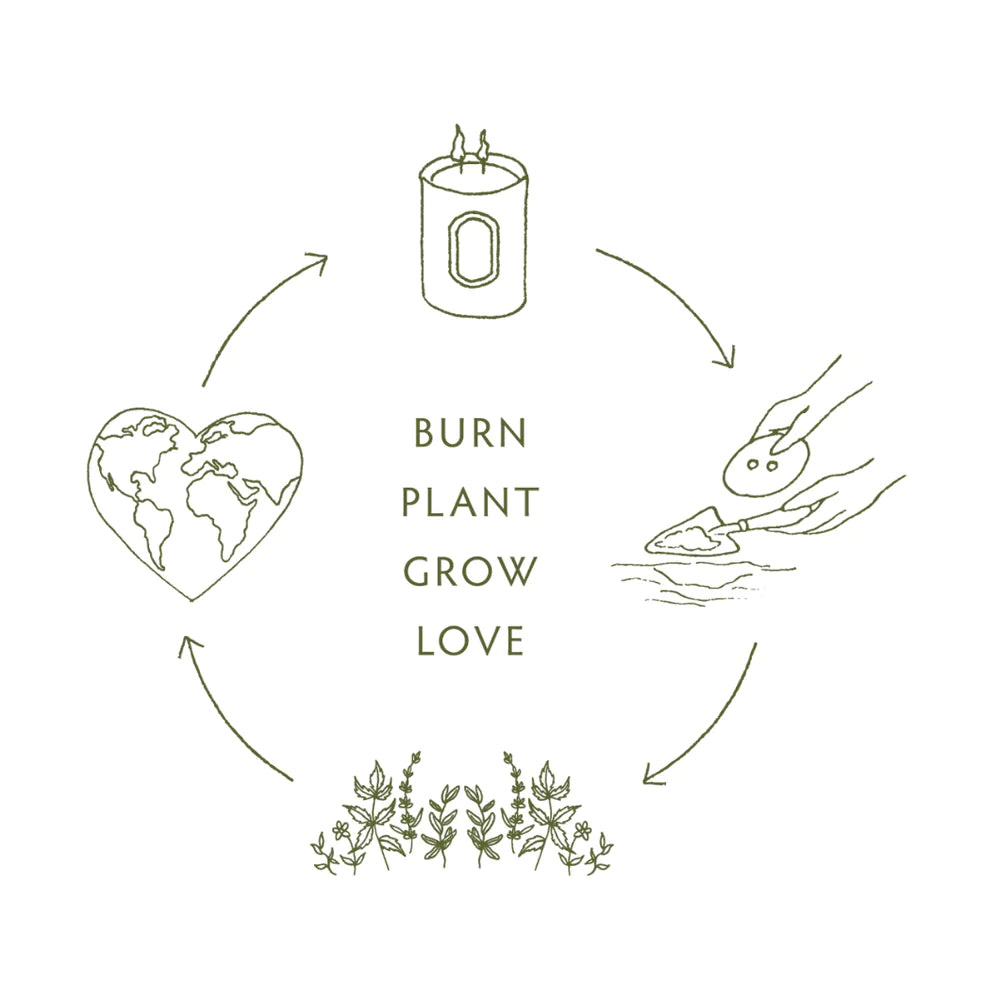 Linnea Candles | Botanik Collection | 2 Wick Candles