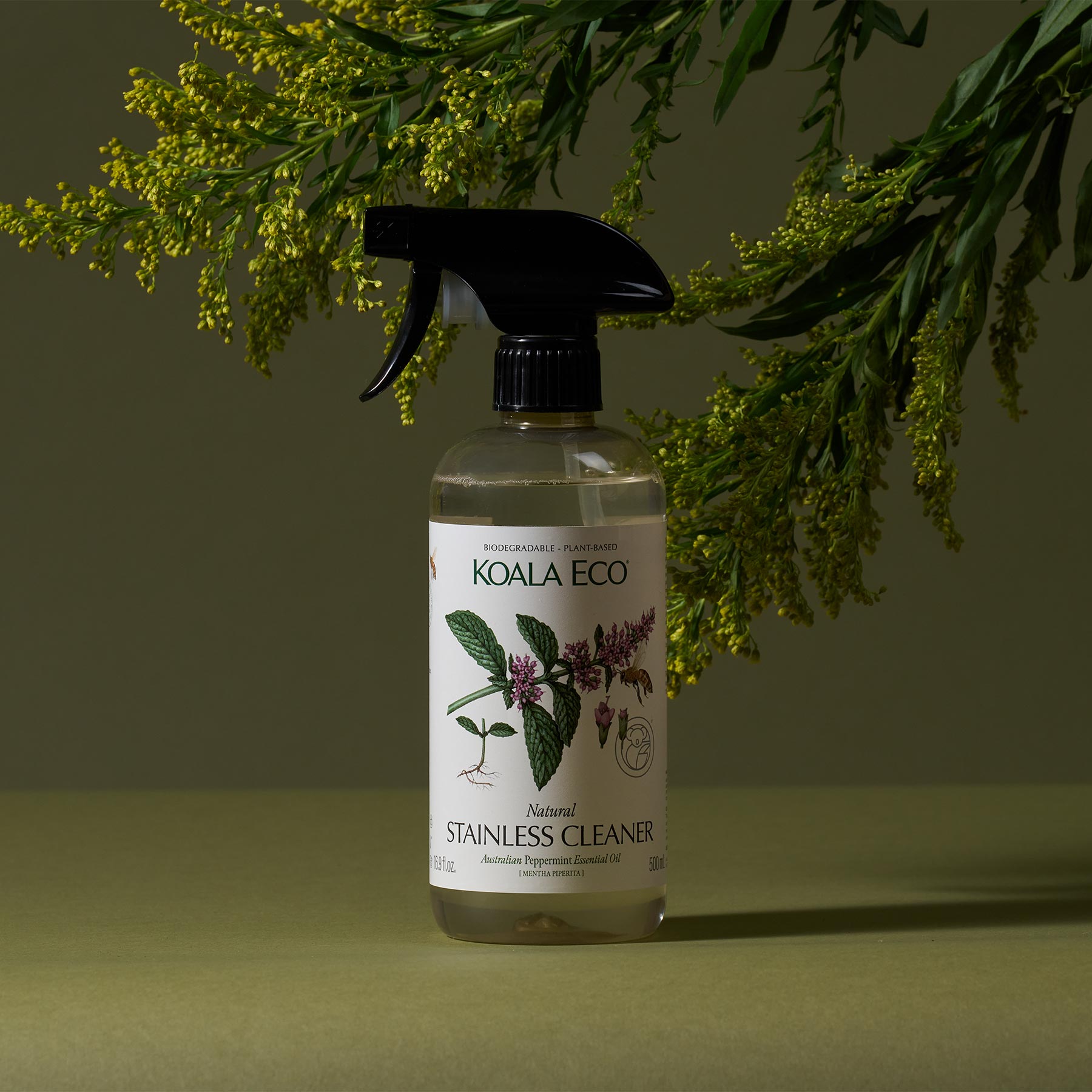 Koala Eco Natural Stainless Cleaner