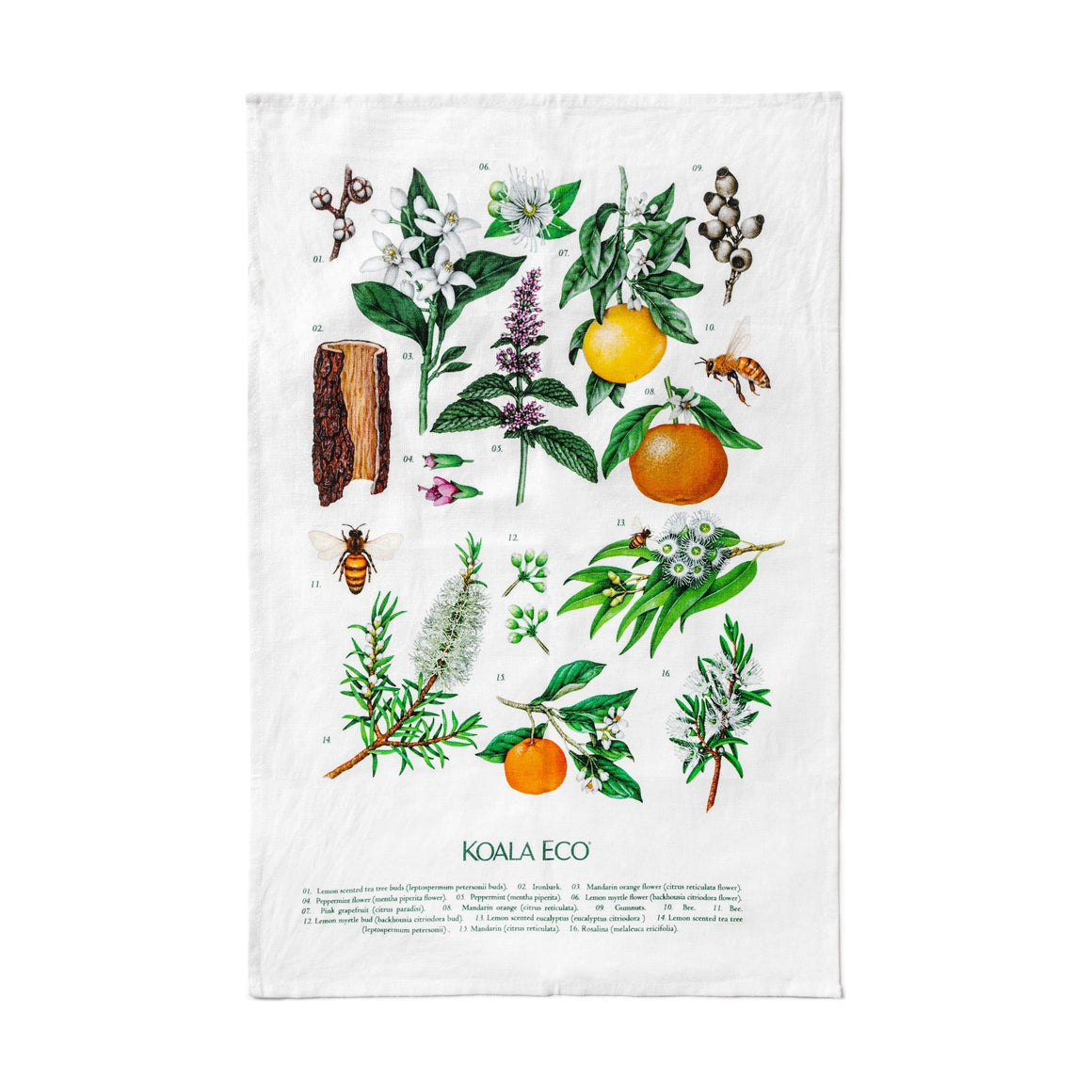 Koala Eco Terra Botanica Tea Towel