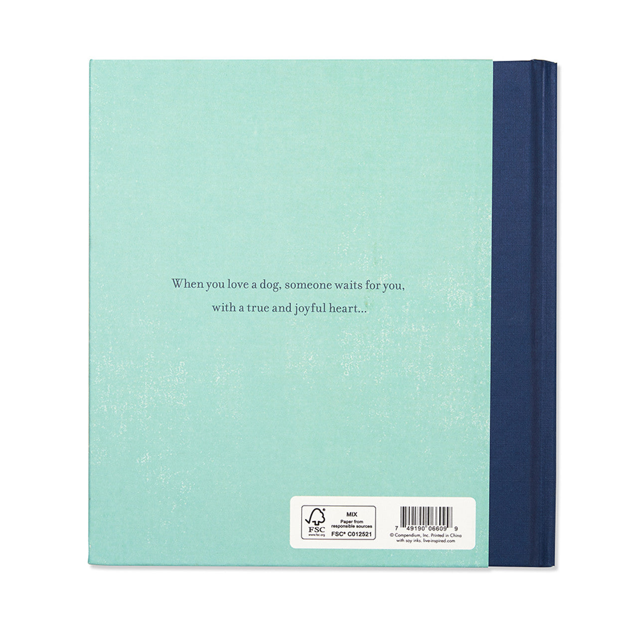 When You Love  A Dog