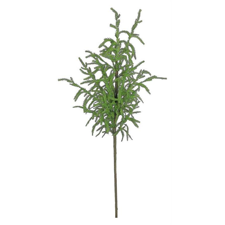 Norfolk Pine Spray