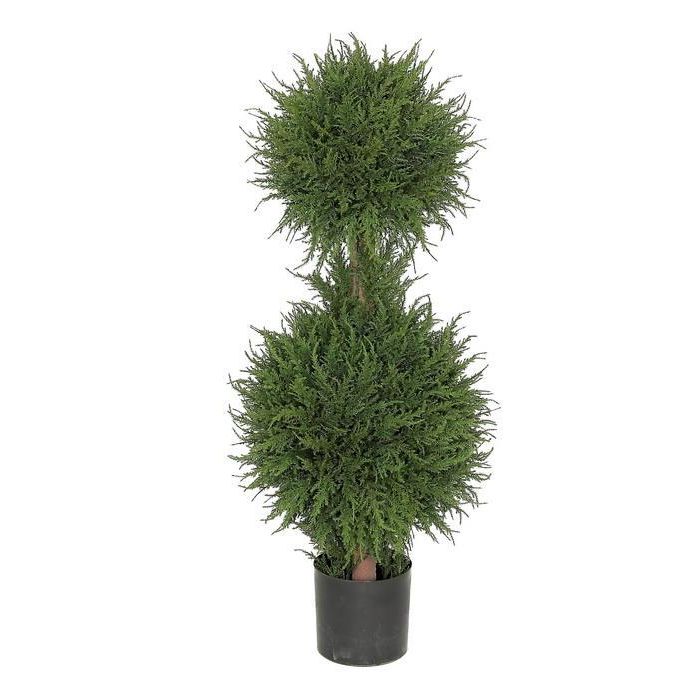 Cedar Double Ball Topiary Potted