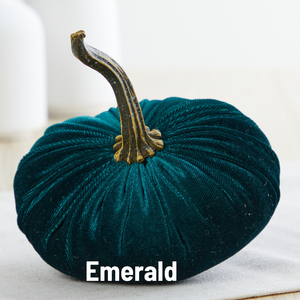 Velvet  Pumpkin | Small - Avocado