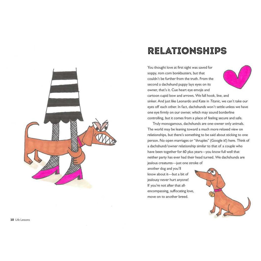 Life Lessons from a Dachshund