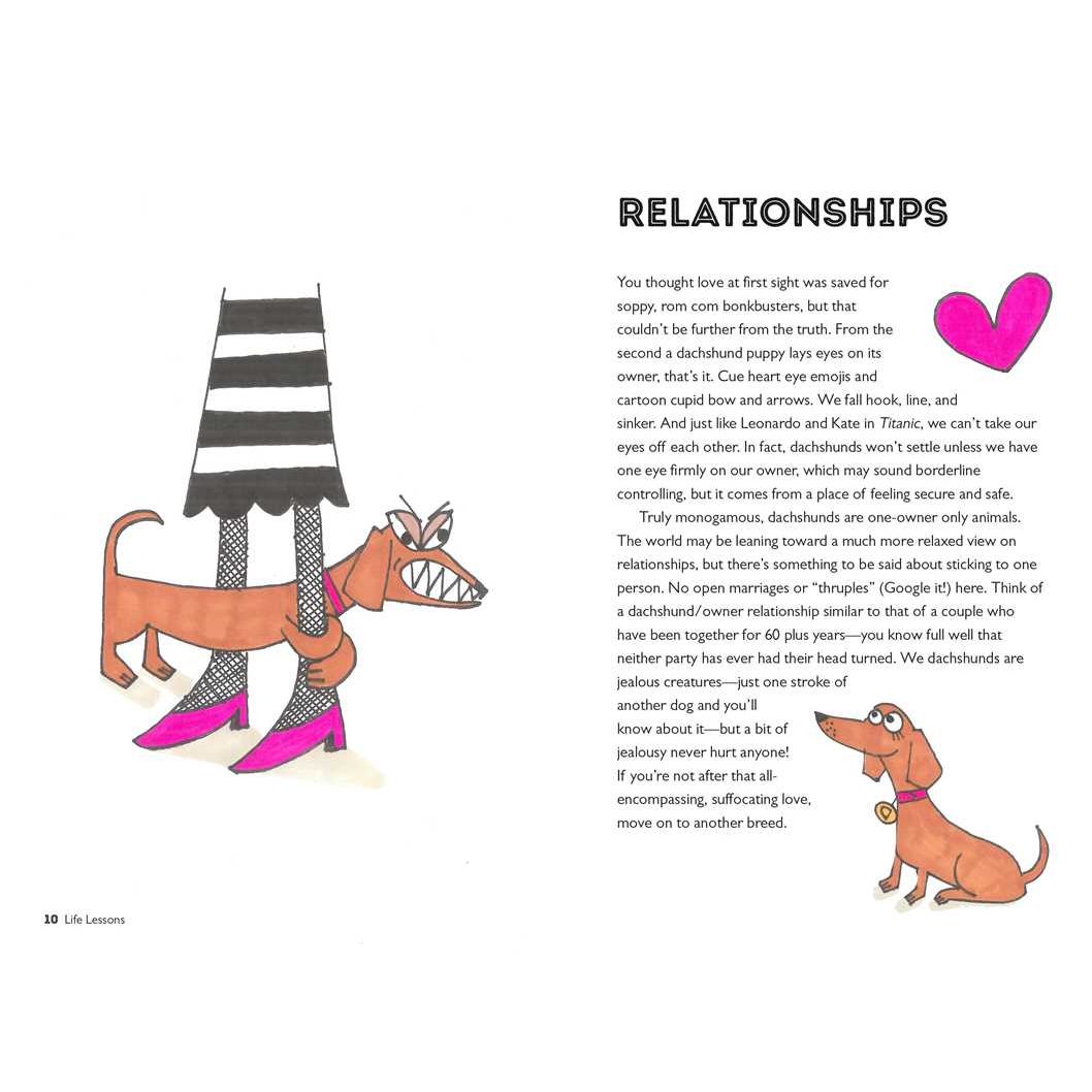 Life Lessons from a Dachshund
