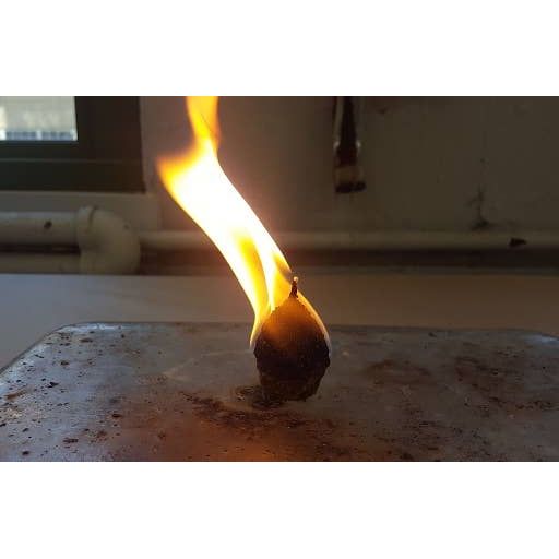 Pine Cone Fire Starters | Original