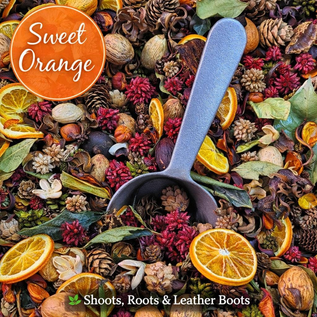 Handcrafted Potpourri | Sweet Orange