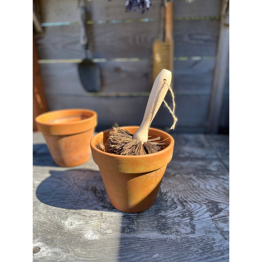 Plant Pot Cleaning Brush