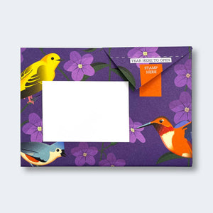 Pigeon Letter Pack | Carnival of Colour