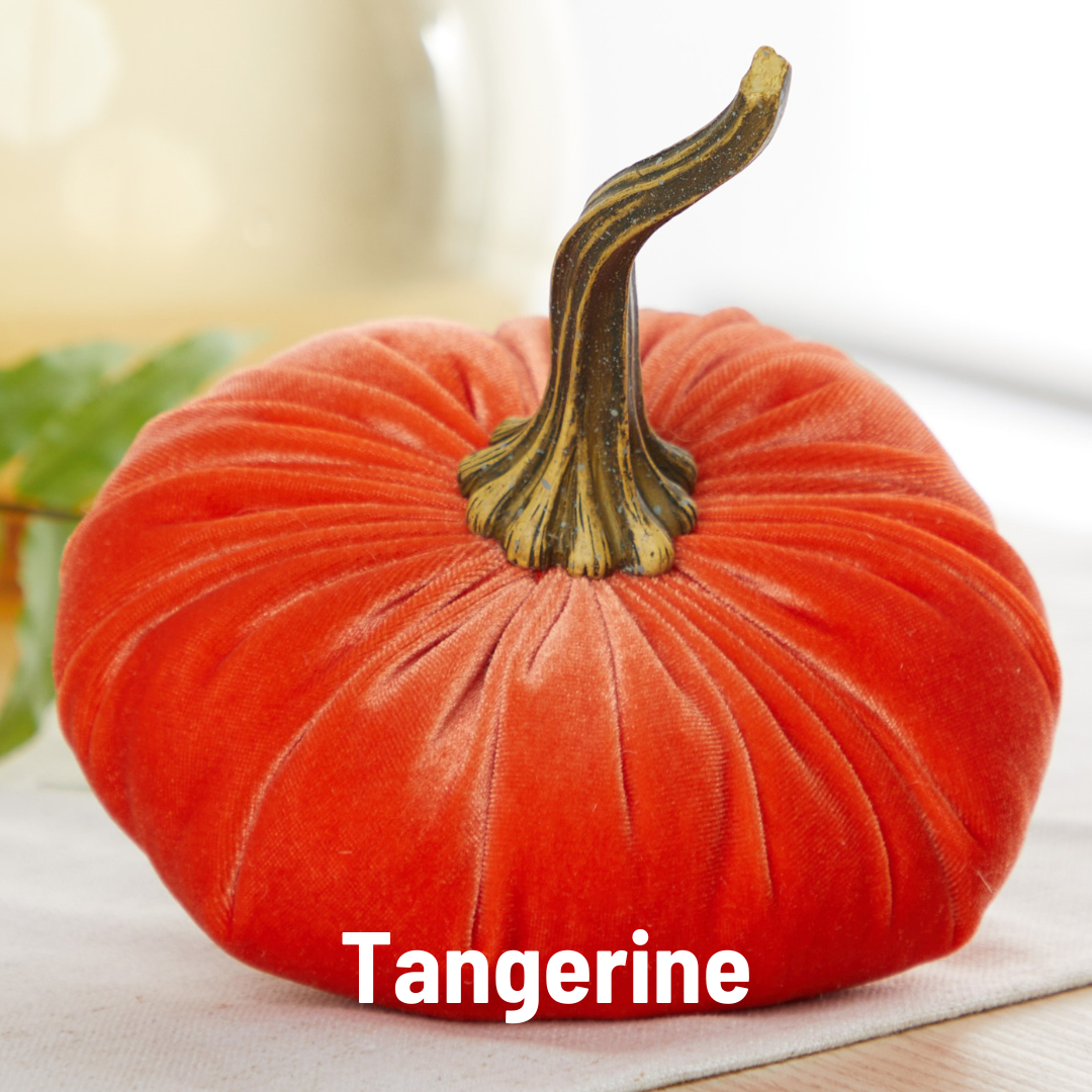Velvet Pumpkin Large - Harvest