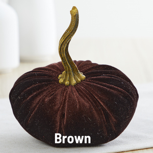 Velvet Pumpkin | Small - Brown
