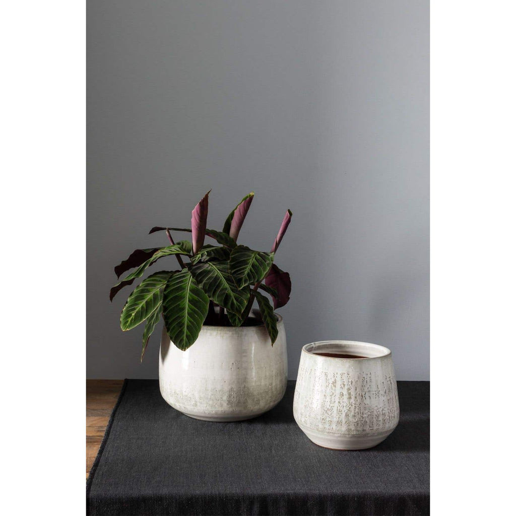 Anders Pot