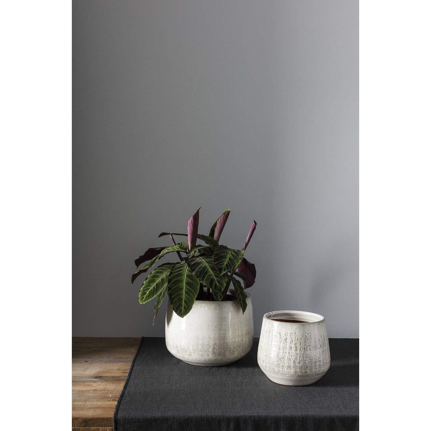 Anders Pot