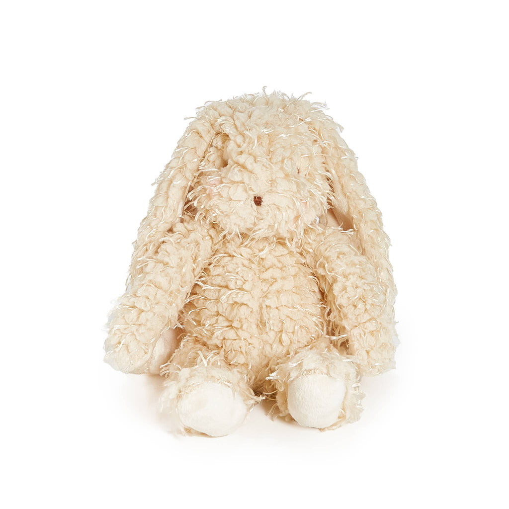 Harey the Bunny
