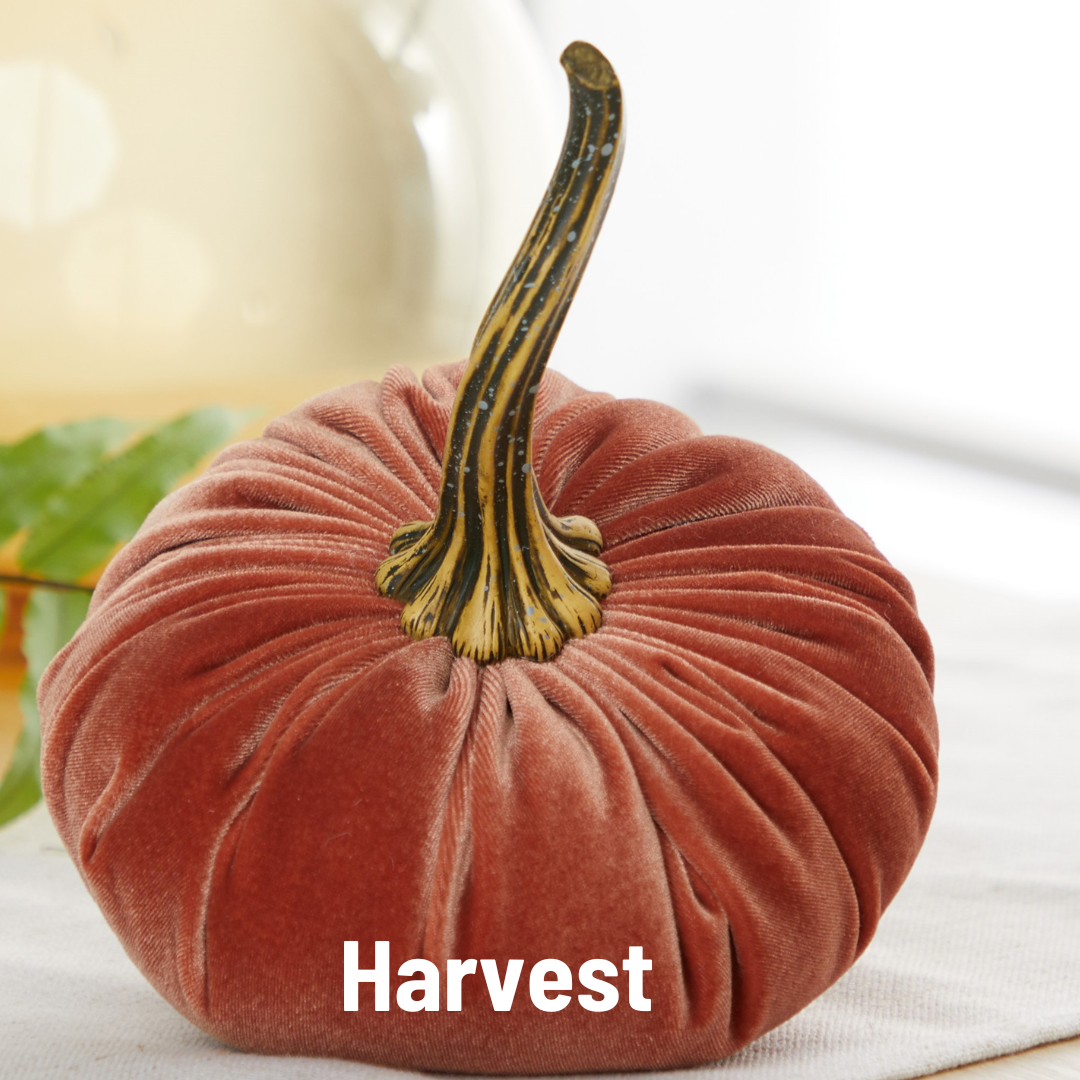 Velvet Pumpkin Large - Harvest